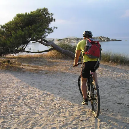 Dallas-beach,bike & Gym Appartement Vourvourou