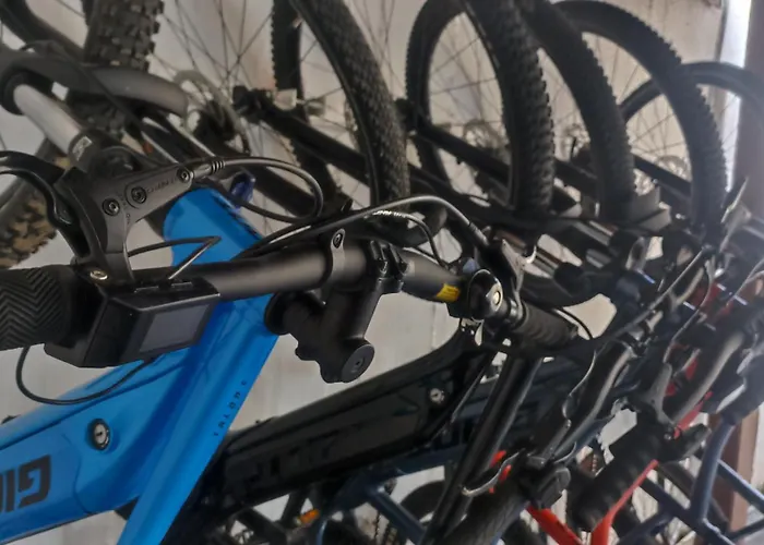 Dallas-beach,bike & Gym 아파트