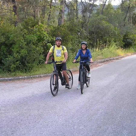Dallas-beach,bike & Gym Daire Vourvourou