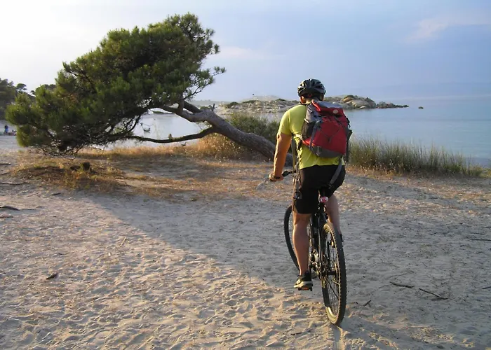 Dallas-beach,bike&gym Apartment Vourvourou